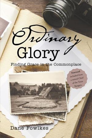 Cover of the book Ordinary Glory by Joe and Michelle Williams