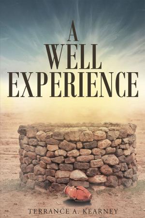 Book cover of A Well Experience