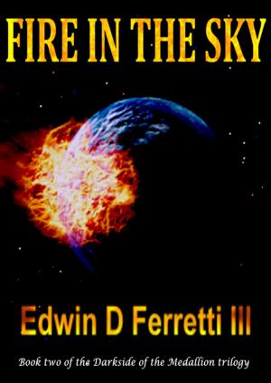 Cover of the book Fire in the Sky by Paula Black