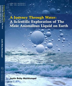 Cover of the book A Journey Through Water by Subhash  C. Basak, Subhash  C. Basak, Guillermo  Restrepo, José  L. Villaveces