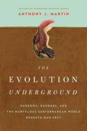 Cover of the book The Evolution Underground: Burrows, Bunkers, and the Marvelous Subterranean World Beneath our Feet by Kate Williams
