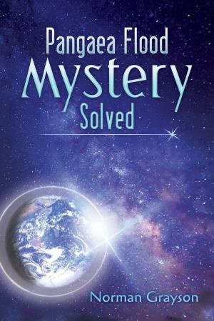 Cover of the book Pangaea Flood Mystery Solved by A. J. Bueno