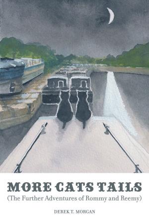 Cover of the book More Cats Tails by Faye L. Gardner