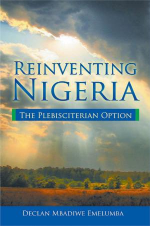 Cover of the book Reinventing Nigeria by Kate McLaughlin