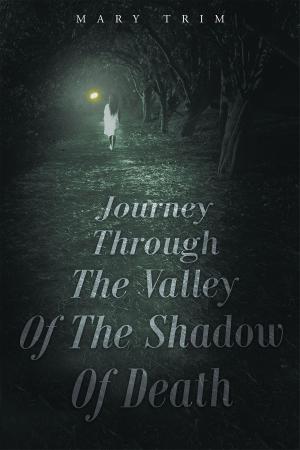 bigCover of the book Journey Through The Valley Of The Shadow Of Death by 
