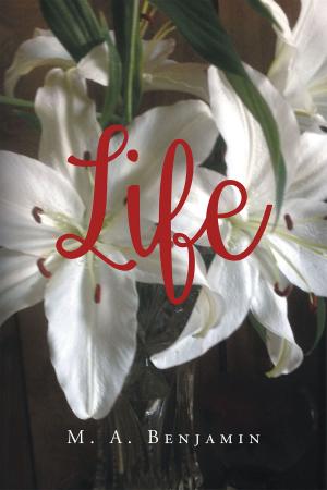 Cover of the book Life by Chere Berman