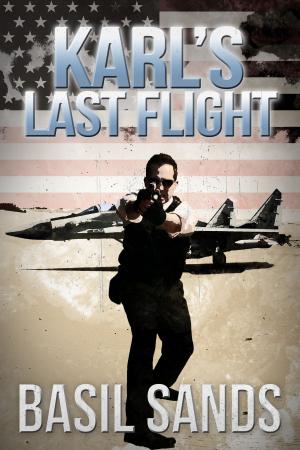 Cover of the book Karl's Last Flight by Dave Lund, Monique Happy