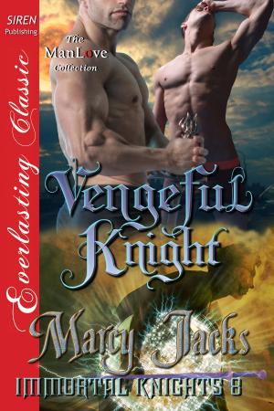 Cover of the book Vengeful Knight by Diane Leyne
