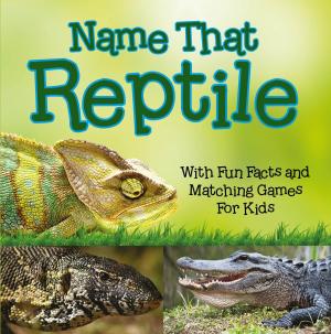 Cover of Name That Reptile: With Fun Facts and Matching Games For Kids
