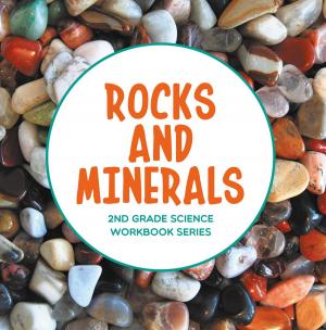 Cover of the book Rocks and Minerals : 2nd Grade Science Workbook Series by Samantha Michaels
