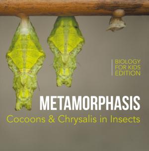 Cover of the book Metamorphasis: Cocoons & Chrysalis in Insects | Biology for Kids Edition by Baby Professor