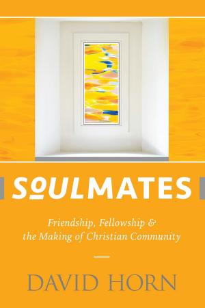 Cover of the book Soulmates by John Kingsley Alley