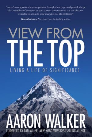 Cover of the book View From the Top by Steve Savage