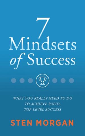 Book cover of 7 Mindsets of Success
