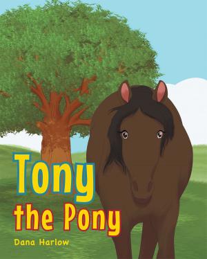 Cover of the book Tony the Pony by Magarette Boutillette