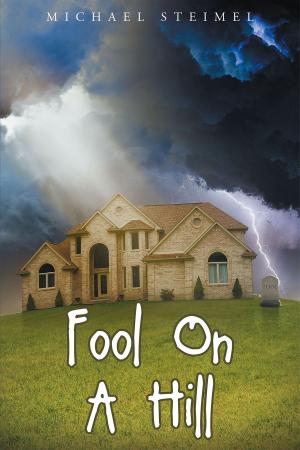 Cover of Fool On A Hill