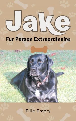 Book cover of Jake: Fur Person Extraordinare
