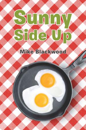 Cover of the book Sunny Side Up by Krystal Black