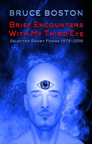 Cover of Brief Encounters with my Third Eye: Selected Poems
