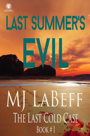 Cover of the book Last Summer's Evil by Christina Weigand