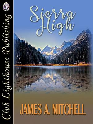 Cover of the book Sierra High by The Silver Fox