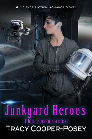 Cover of the book Junkyard Heroes by A.A. Chamberlynn
