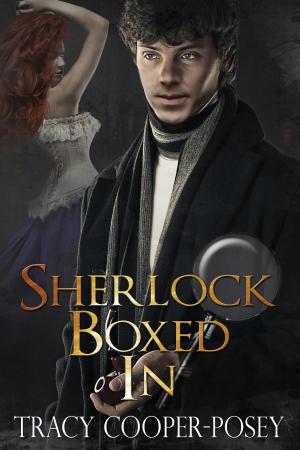 Cover of the book Sherlock Boxed In by Emersyn Vallis