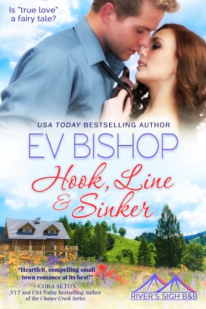Cover of the book Hook, Line & Sinker by Cindy A Christiansen