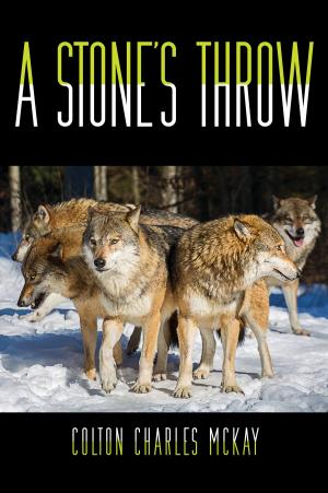 Book cover of A Stone's Throw