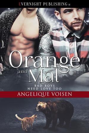 Cover of the book Orange and Mal by Maggie Mundy