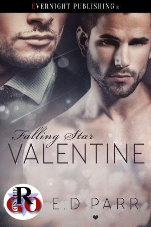 Cover of the book Falling Star Valentine by April Zyon