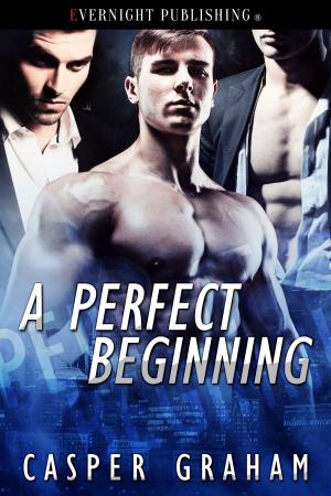 Cover of the book A Perfect Beginning by Sydney Lea