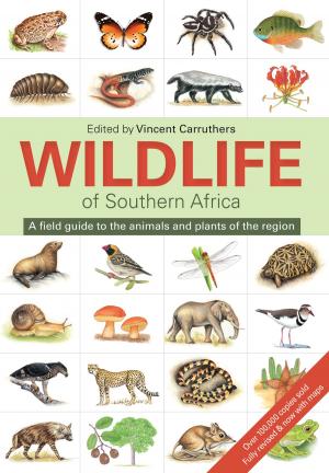 Cover of the book The Wildlife of Southern Africa by Afua Hirsch