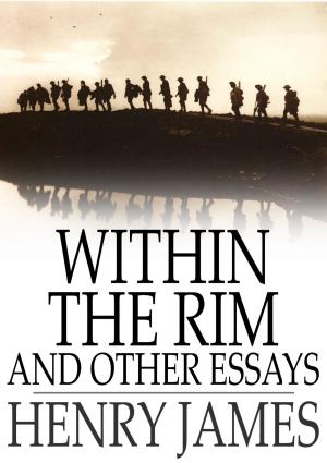 Cover of the book Within the Rim and Other Essays by Erin Evans