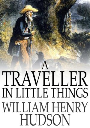 Cover of the book A Traveller in Little Things by William Dean Howells