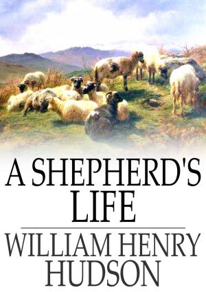 Book cover of A Shepherd's Life