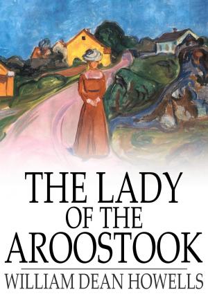 Cover of the book The Lady of the Aroostook by Alexander McVeigh Miller