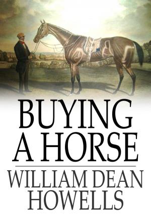 Book cover of Buying a Horse