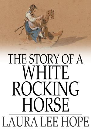 Cover of the book The Story of a White Rocking Horse by Caroline Lee Hentz