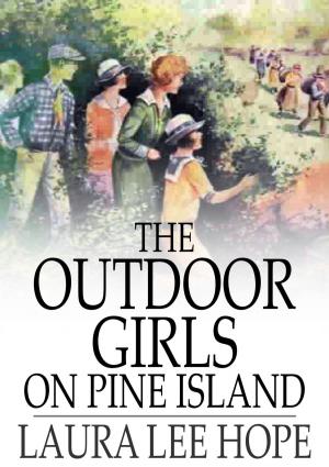 Book cover of The Outdoor Girls on Pine Island
