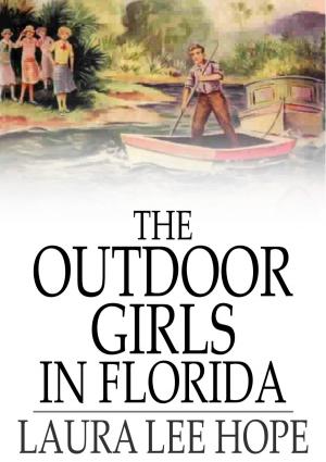 Book cover of The Outdoor Girls in Florida