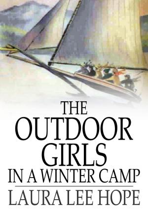 Book cover of The Outdoor Girls in a Winter Camp