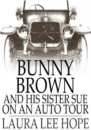 Book cover of Bunny Brown and His Sister Sue on an Auto Tour