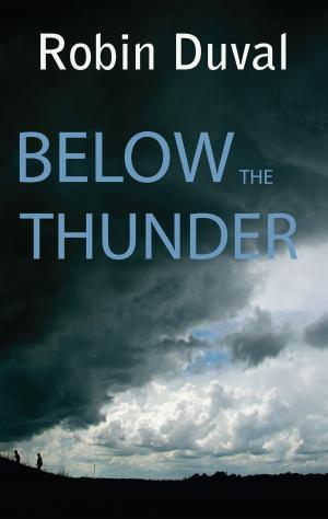 Cover of the book Below the Thunder by Maureen Joan Winnett