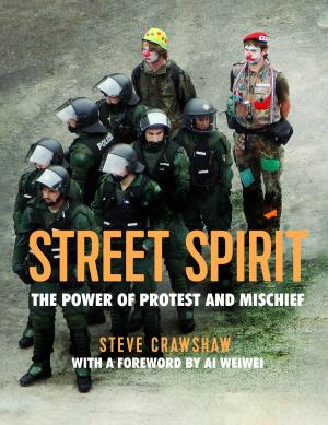 Cover of the book Street Spirit by Liz Evers