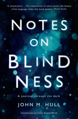 Cover of the book Notes on Blindness by Lucy Kellaway