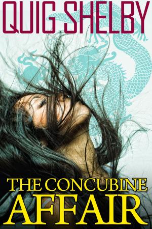 Book cover of The Concubine Affair