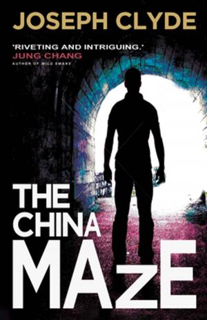 Cover of the book The China Maze by Juliann Vatalaro