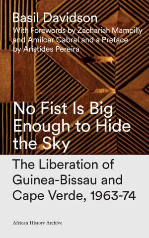Cover of the book No Fist Is Big Enough to Hide the Sky by Louisa Lombard