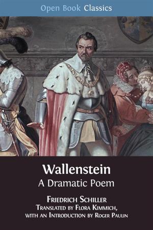 Cover of the book Wallenstein by Jan M. Ziolkowski